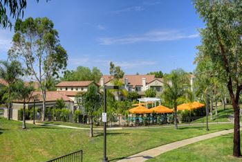 Lush landscape 
